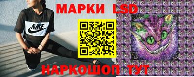 spice Новодвинск