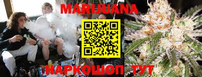 spice Новодвинск