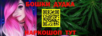 индика Обь