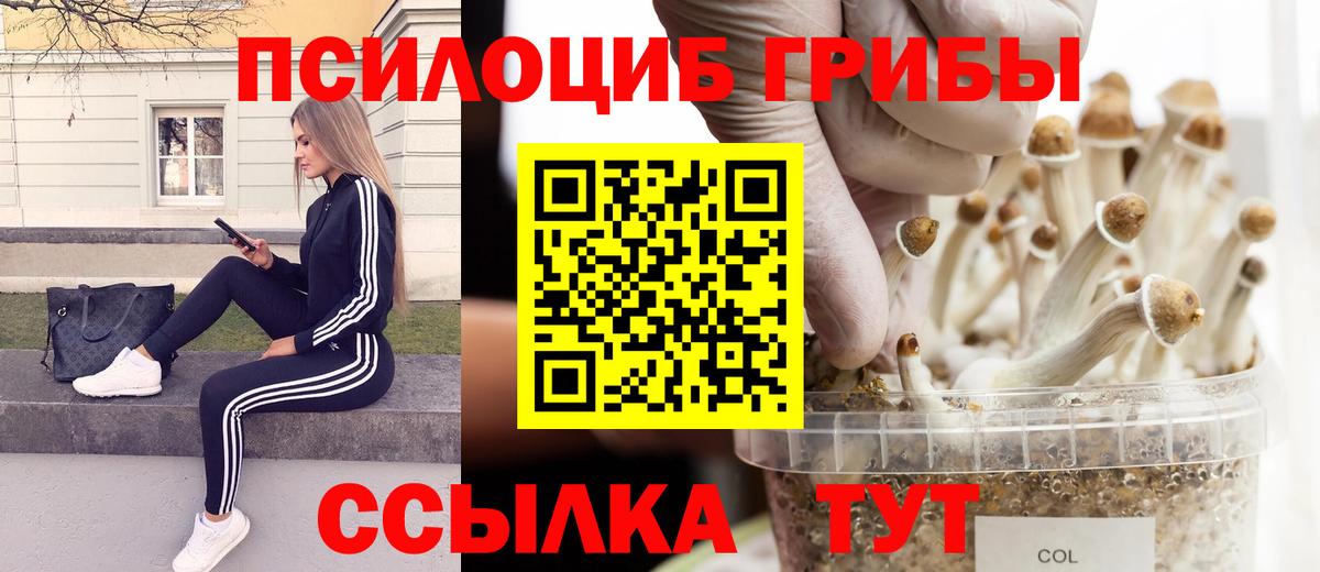 Галлюциногенные грибы Psilocybe  Галлюциногенные грибы мицелий  Вход с VPN  Трёхгорный 