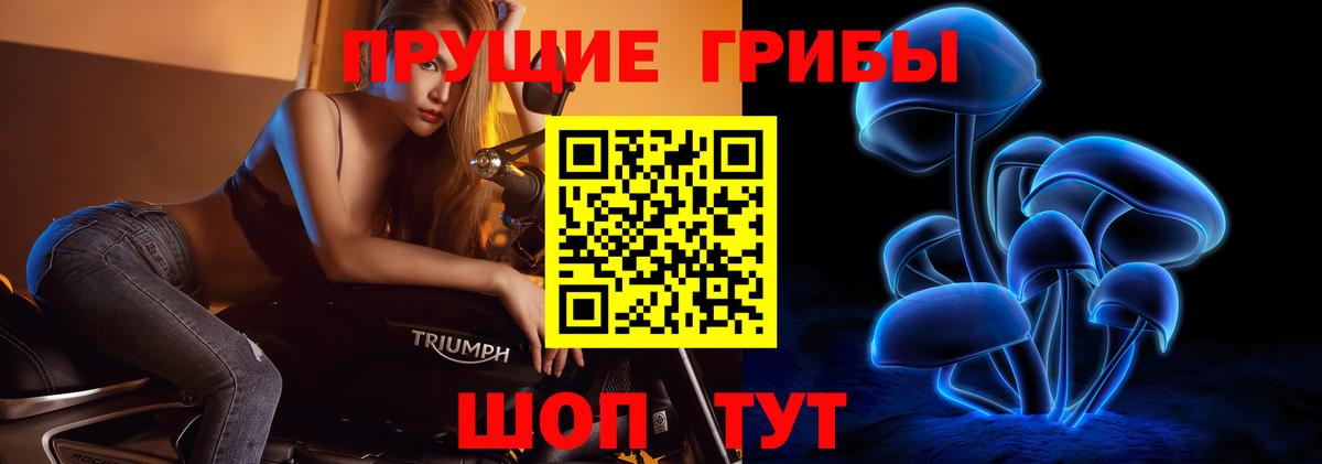 Псилоцибиновые грибы GOLDEN TEACHER Трёхгорный